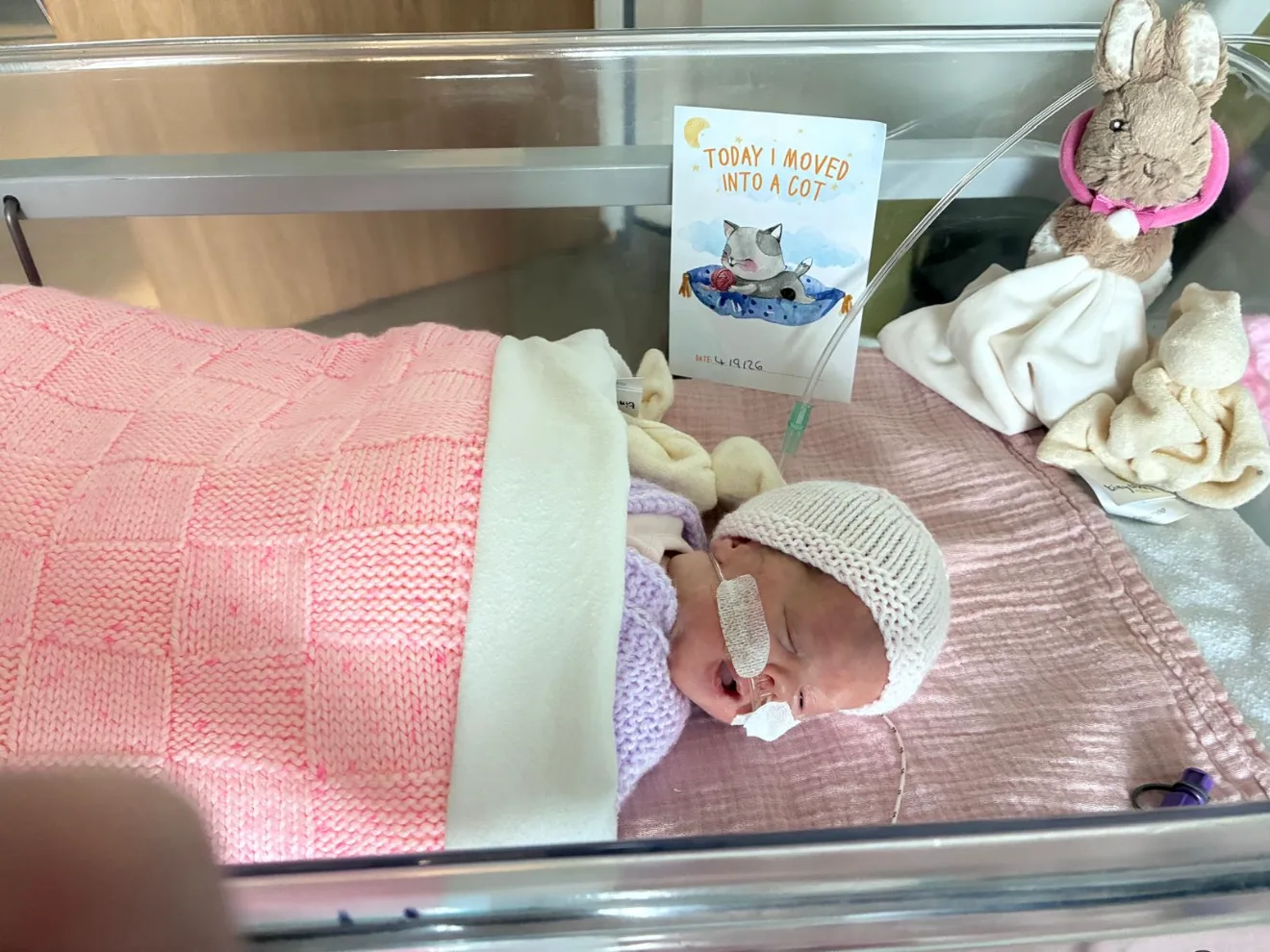 A premature baby in a knitted hat asleep under a pink blanket in a hospital cot, beside a card reading Today I moved into a cot